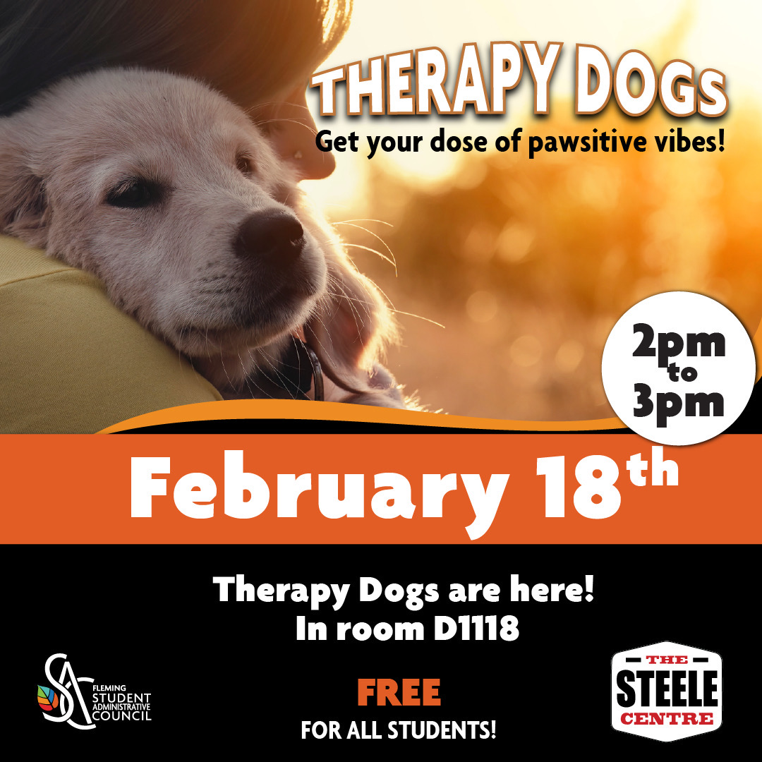 Therapy Dogs