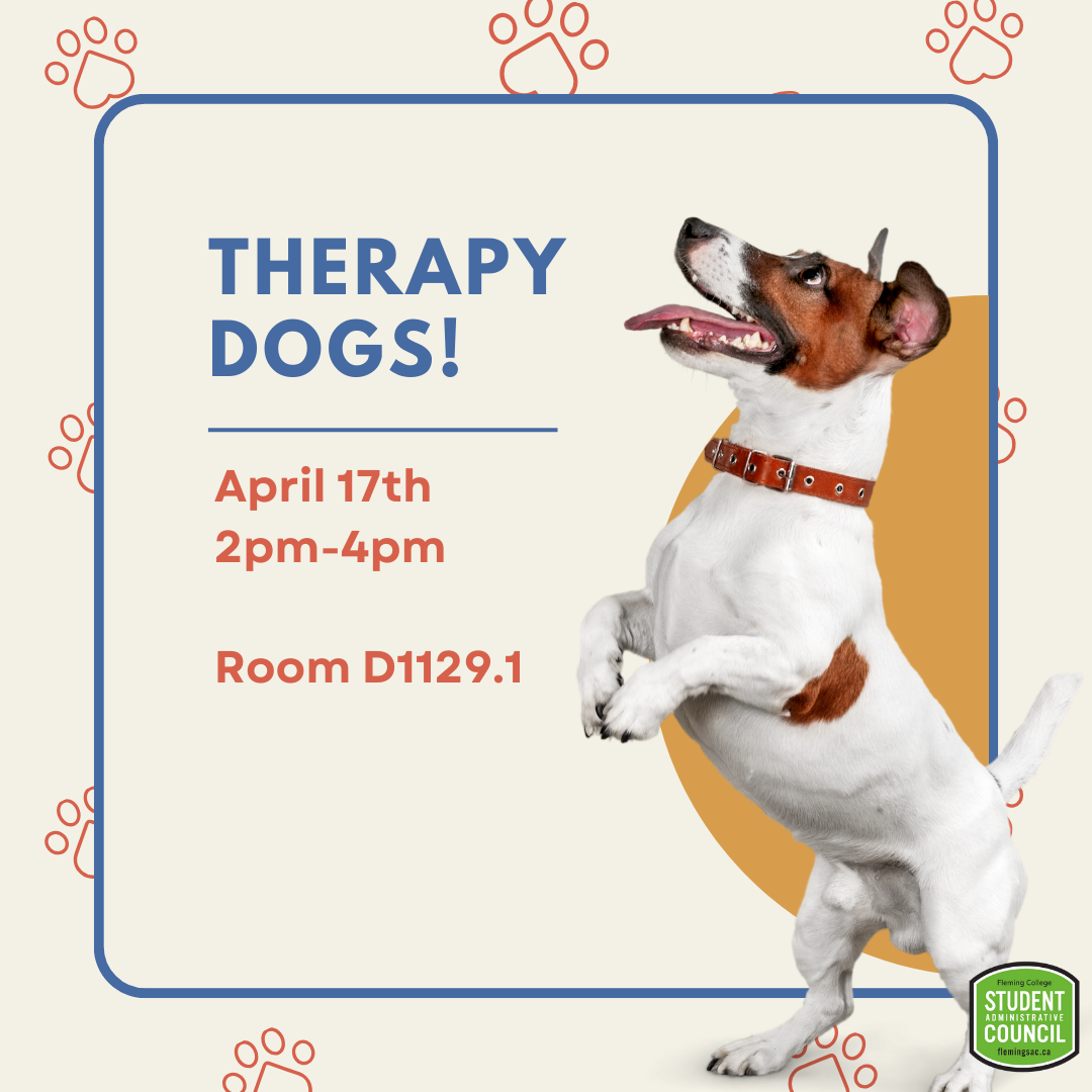 Therapy dogs!-3